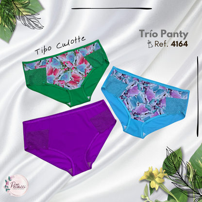 Panty Ref. 4164 Culotte